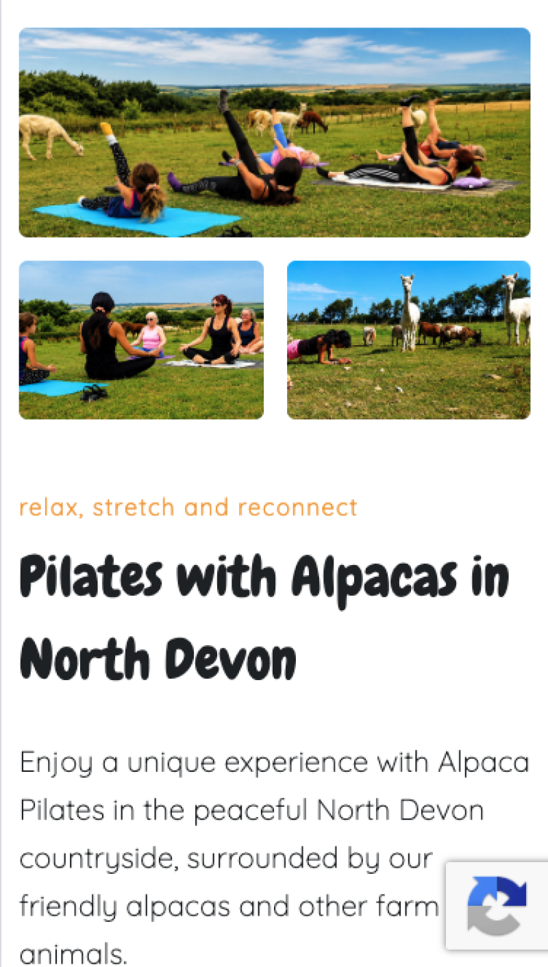 Alpaca Walkies mobile website